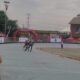 IMG-20260504-WA0133